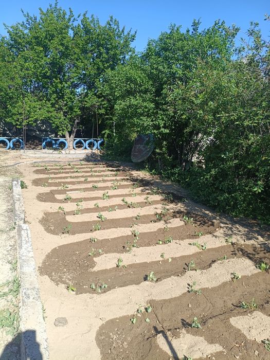 Продам дачу улица виноградная 37