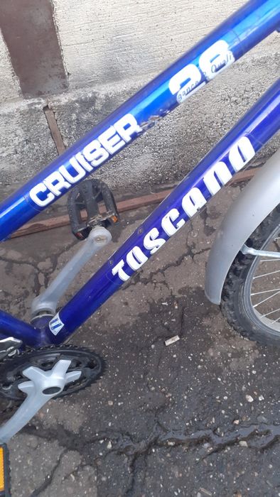 Bicicleta de dama