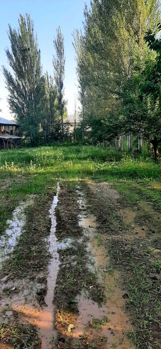 Uchastka ,Toshkent viloyati Jambul mahalla