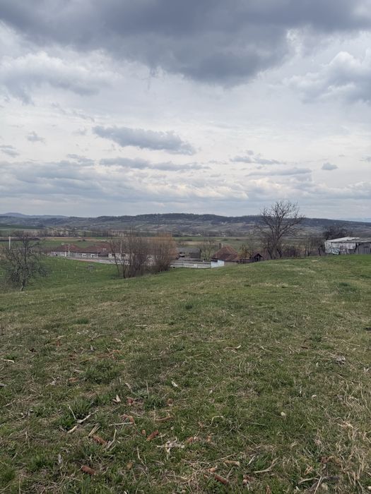 Teren intravilan de vanzare Bihor - 4793 mp2