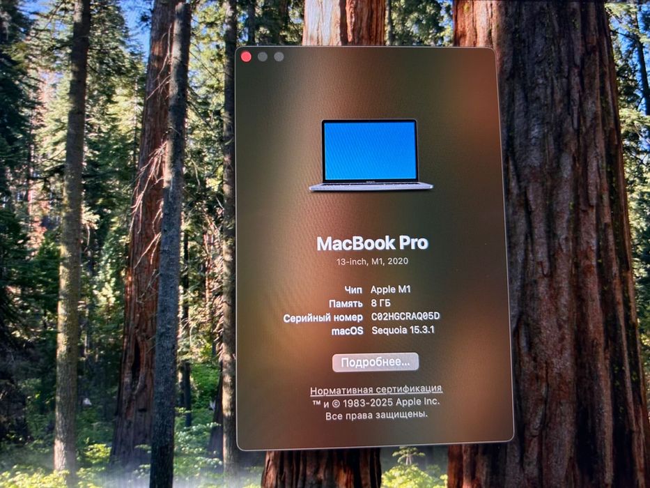 MacBook Pro M1 8Gb 256Gb 2020