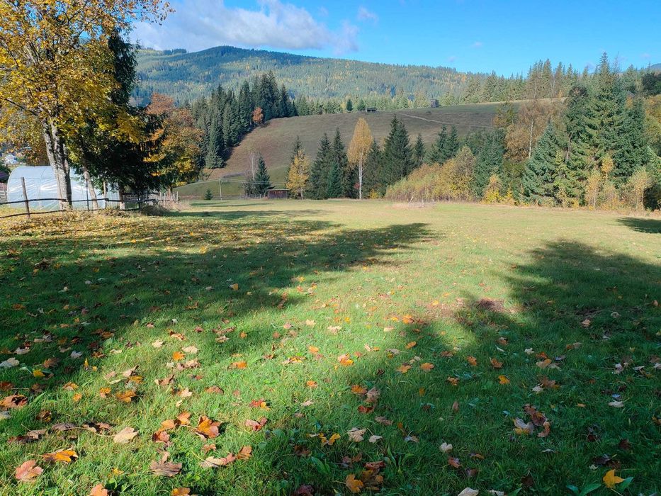 Teren de vanzare intravilan Plaiu Sarului