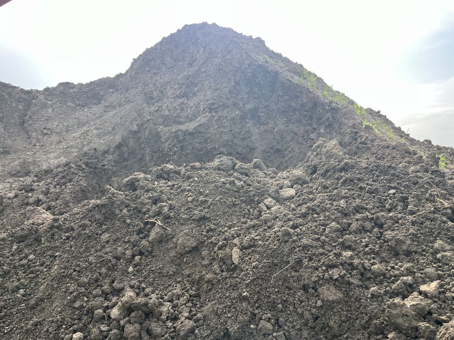 Хумус почва за озеленяване