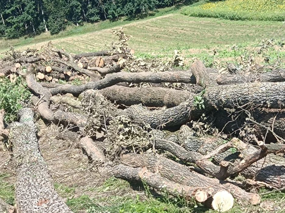 Vand lemne de foc esenta tare