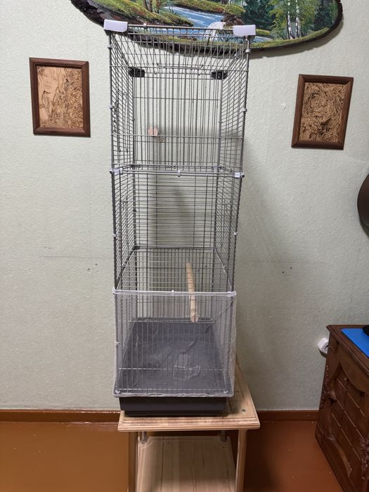 Продам трёх уровневую клетку!