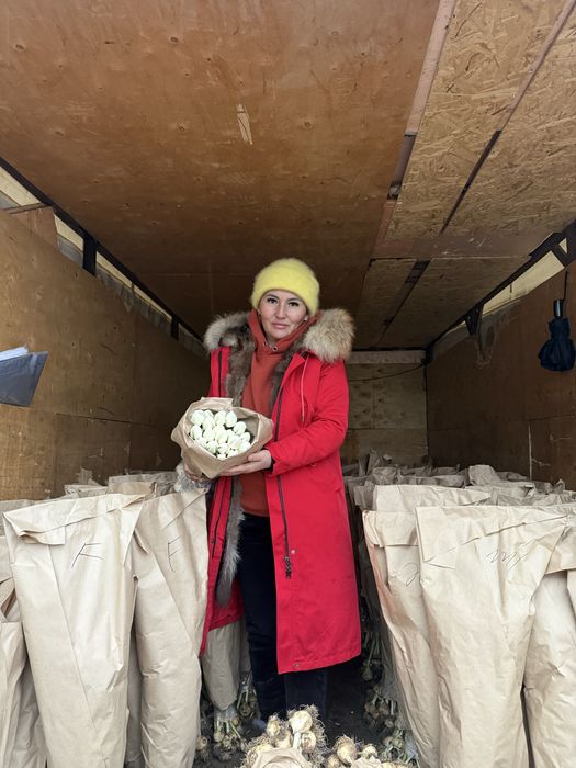 Тюльпаны оптом Алматы