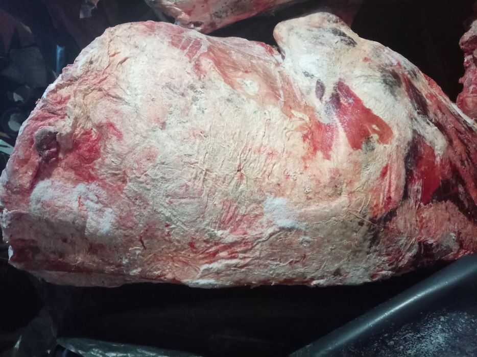 Семіз тайнша қашар