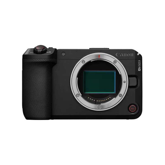 Canon EOS R6V body