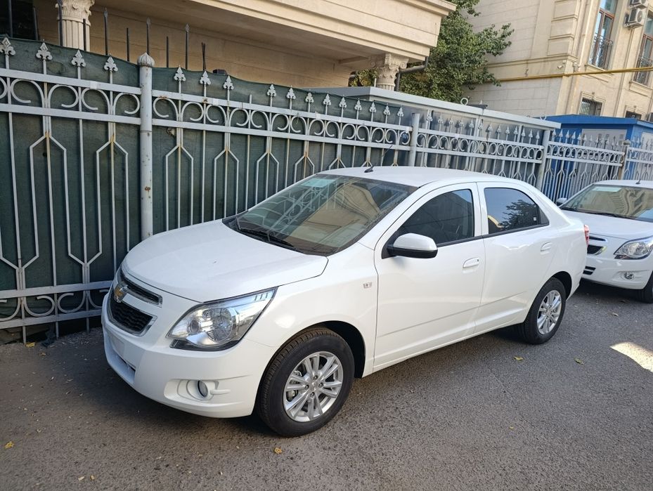 Cobalt bez probek Masla stayl 2025