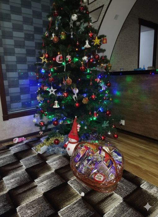 Елка совпластиталовская