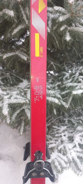 Лыжи Тисса  пластик