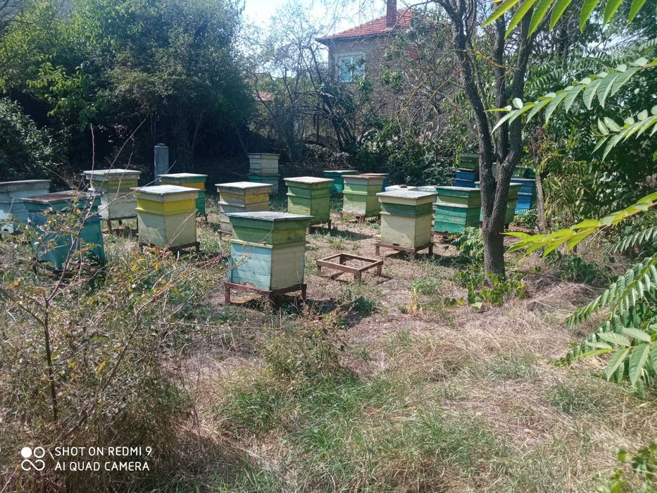 Продавам Къща във село Яворово област Стара Загора.