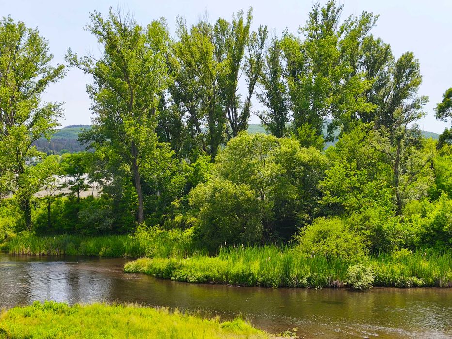 Продава се Парцел в Нова Загора - 980 кв.м за 17 €/кв.м - Снимка #1