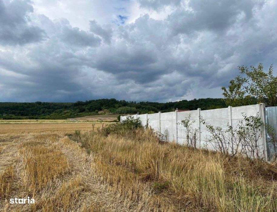 Teren intravilan imprejmuit 1000 mp, total 2550 mp, zona Arginesti