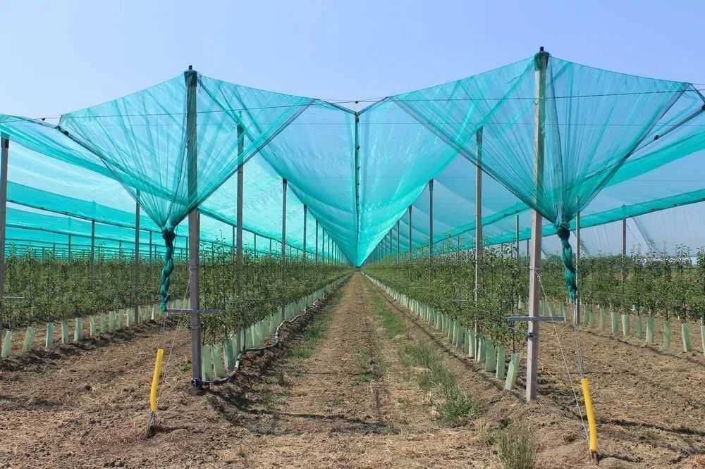 Plasa antigrindina 6x100m 34g ideala parcuri auto