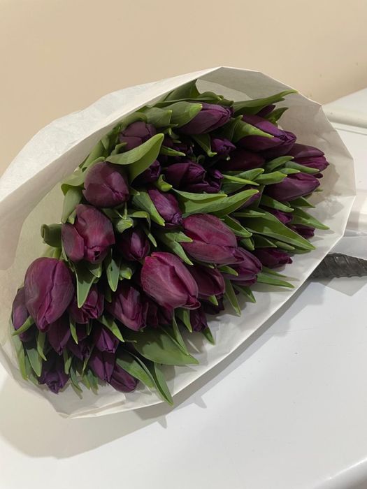 Тюльпаны местные