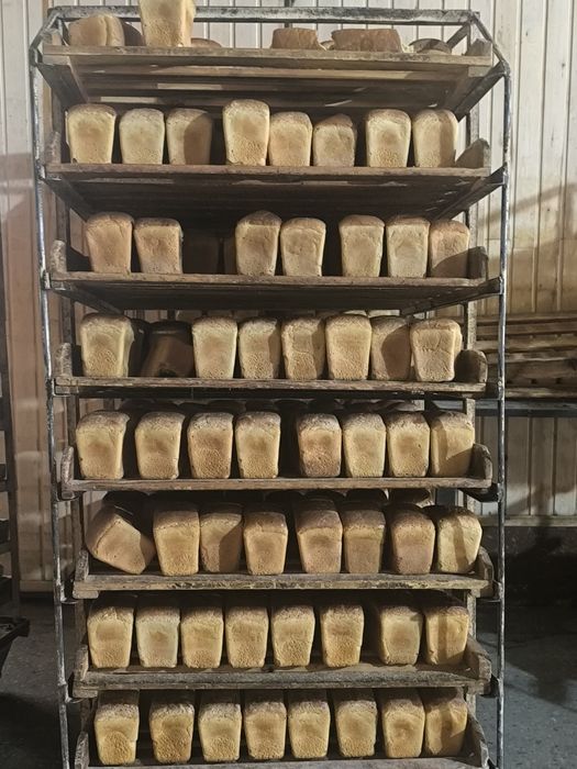 Brak non mahsulotllarni