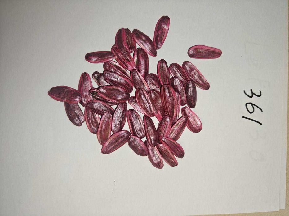 Семена подсолнечника