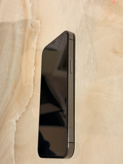 iPhone 12 Pro Max 256GB 76% battery health