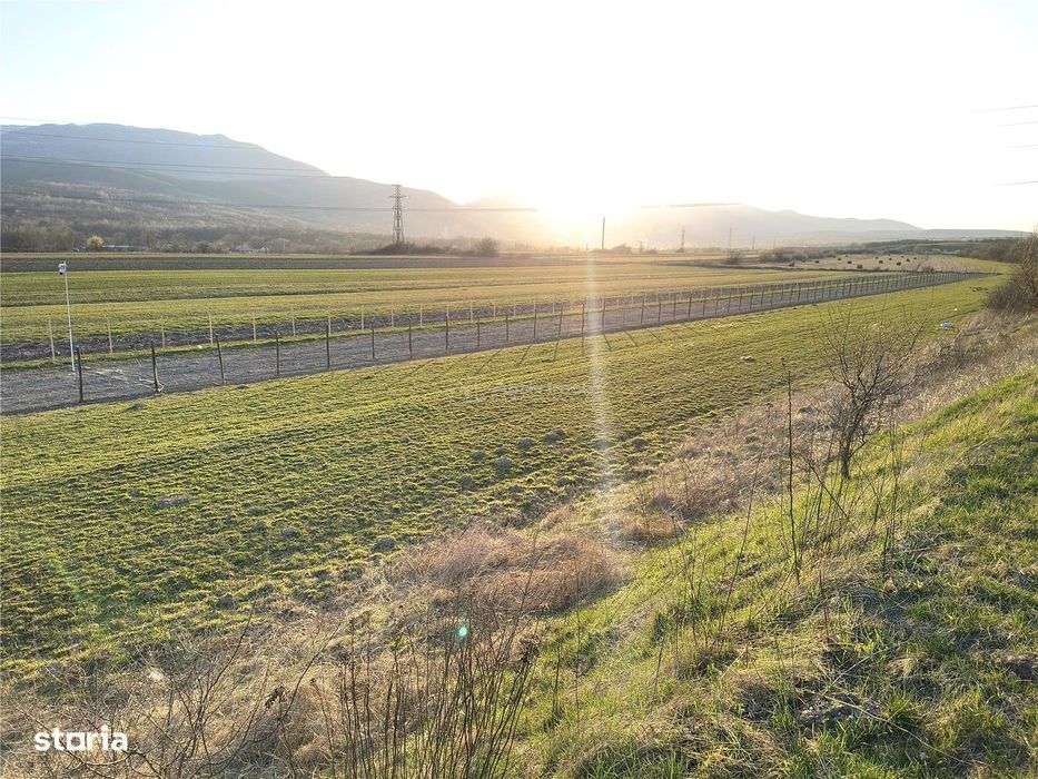 Teren extravilan de vanzare Talmaciu