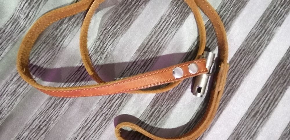 Поводок для собаки большой