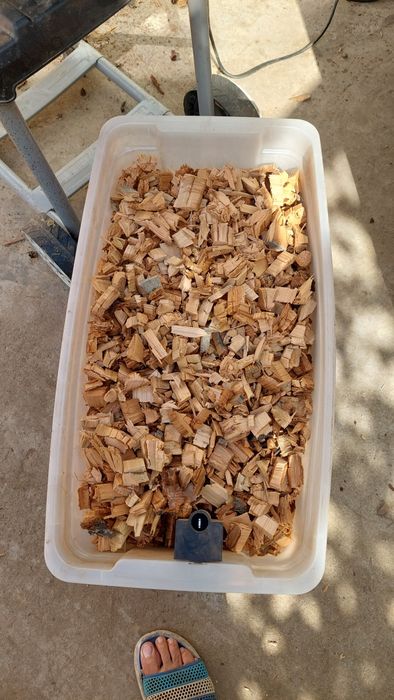 Vand rumegus de fag uscat / aschii tambre cires  afumat / afumatoare