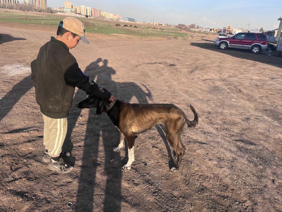 Тазы қаншық ауызданған