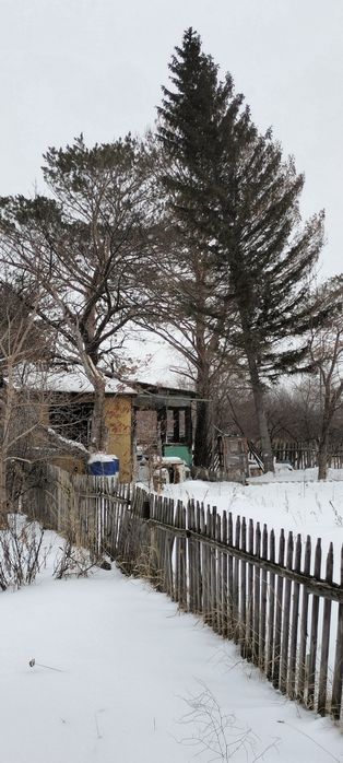 Продам дачу сад Здоровье, СРОЧНО