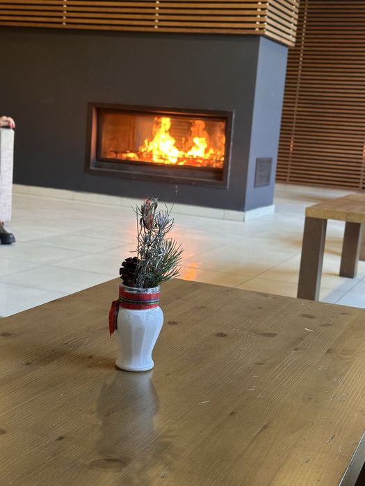Апартамент Aspen Luxury apartament