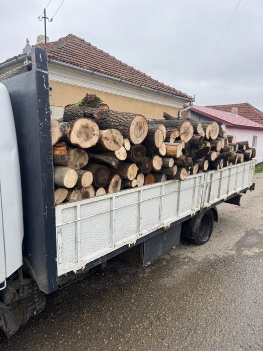 Vand/schimb Nissan cabstar