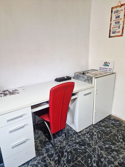 Casă de vânzare, teren 2450 mp Cefa Bihor