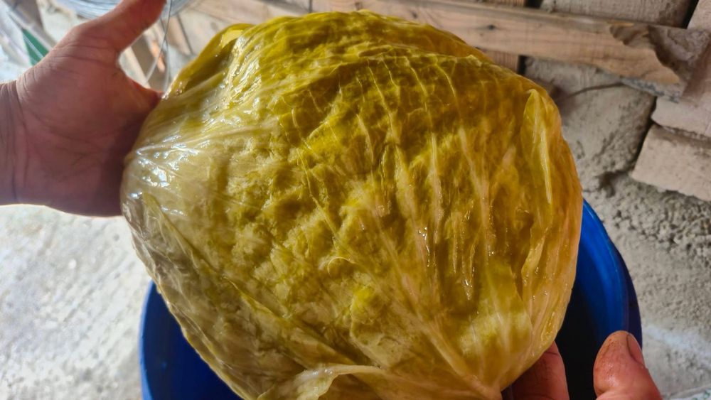 Varză murată de vânzare