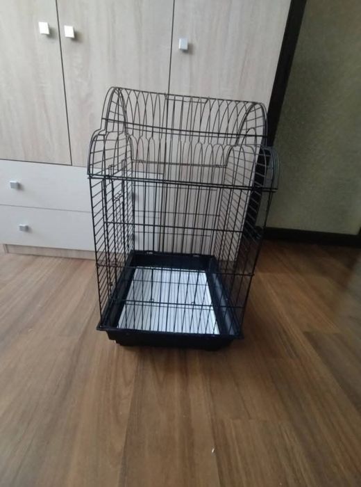 COLIVIE cusca pasari