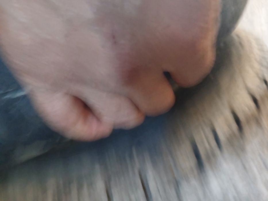 быр қыс журлген жақсы састайанада,