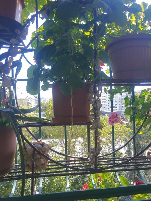 Мебел,Цветарник за дома.НАМАЛЕНИЕ 199лв