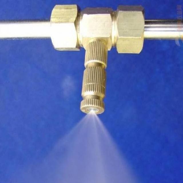 Mikrakilimit tuman va kapilka