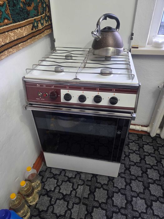 Газовая плита для дома или дачи.