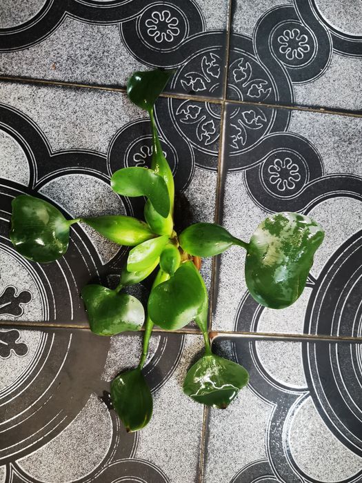 Lampa 60 cm pe Led- lumina puternica