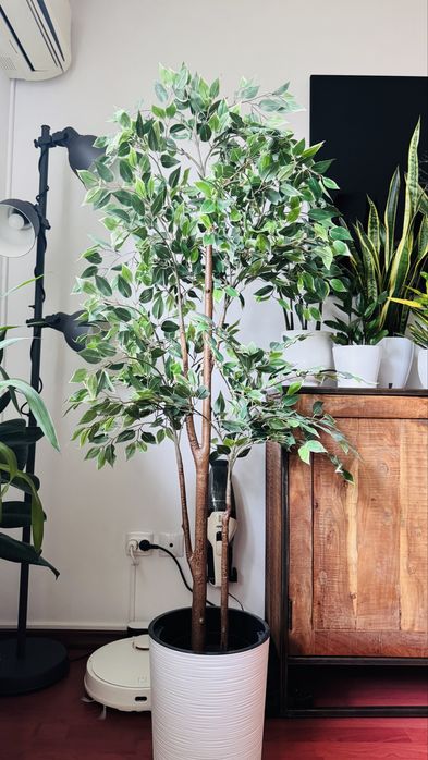 Planta artificiala Ikea FEJKA Ficus Benjamina Exotica