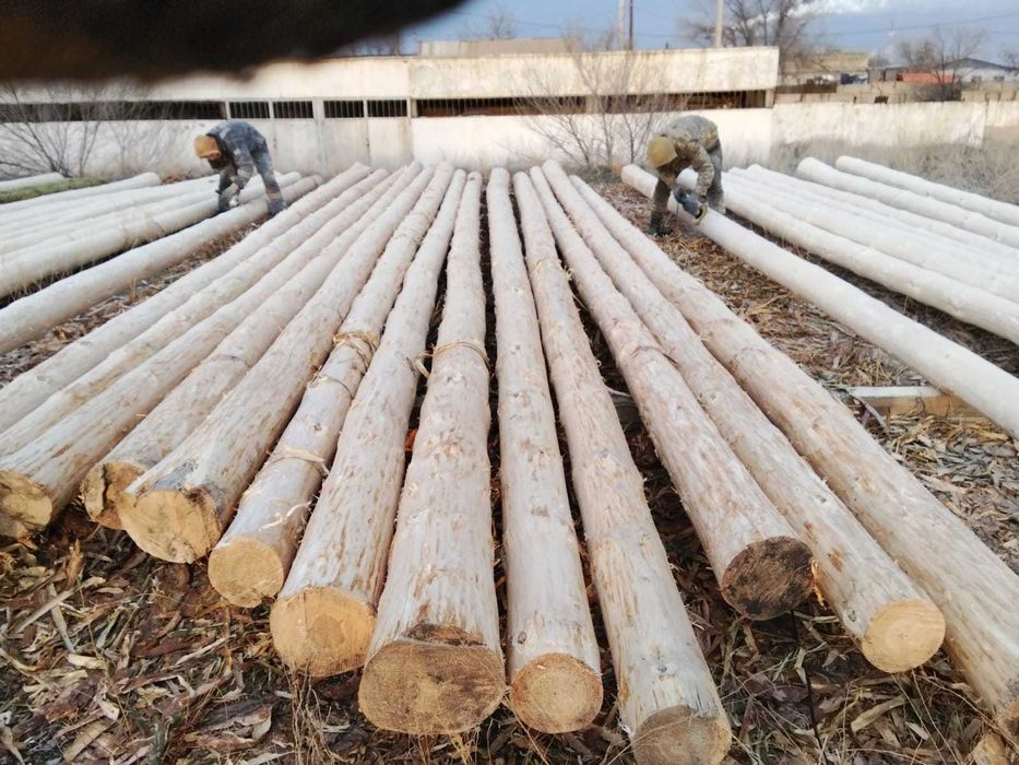 Деревянные опоры для ЛЭП и пиломатериалы