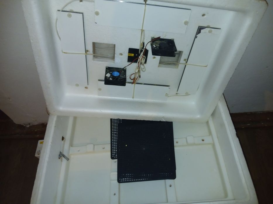 Инкубатор сатылады!