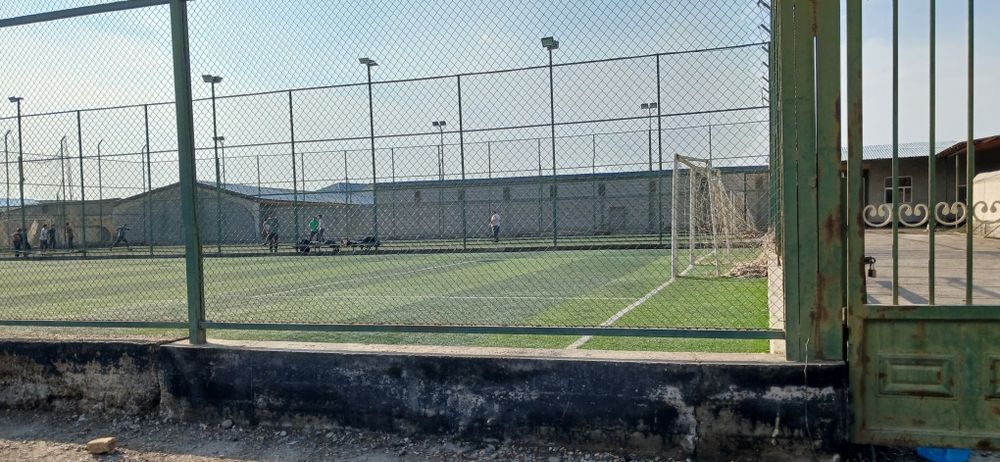 Футболная поля газон