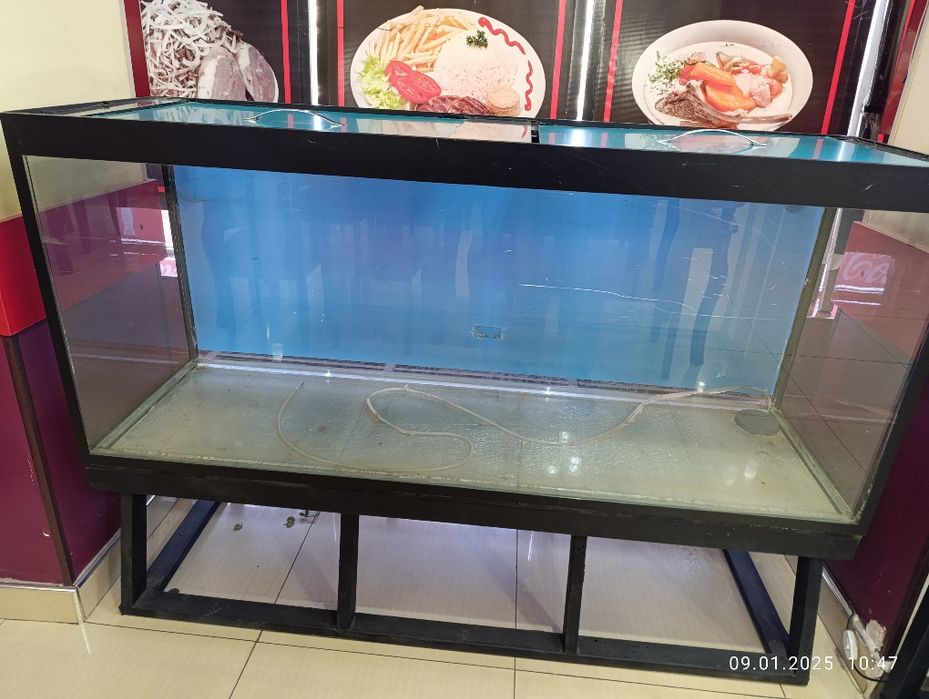 Akvarim sotiladi srochna.