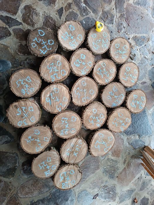 Rondele/ blaturi lemn nuc/pâr