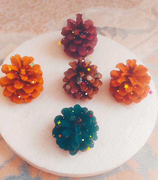 Шишки сосновые для декора и поделок.