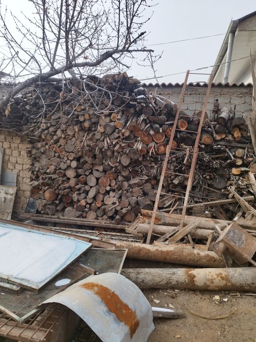 Отин дерево дрова сотилади продается  otin