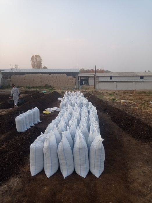 Biogomus chuvalchang