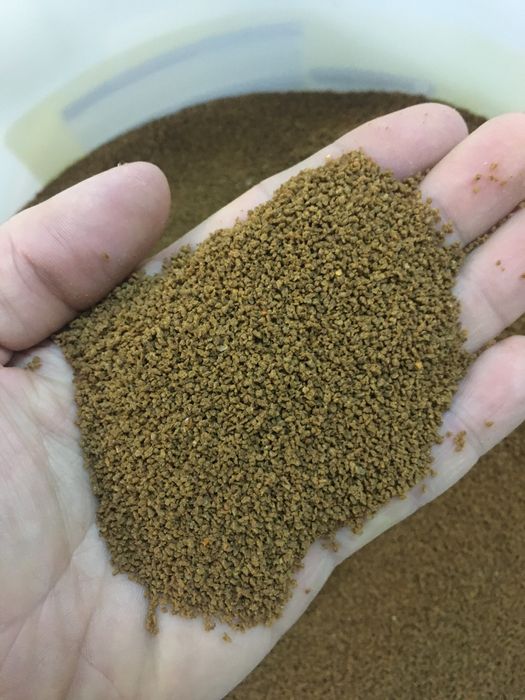 Hrana granular tetra