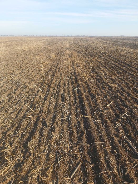 Teren arabil, agricol, extravilan comasat 3 ha zona Covei Bailesti  DJ