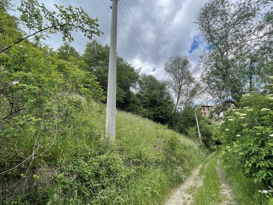 С. Момчиловци, обл. Смолян, 590 кв.м. В регулация